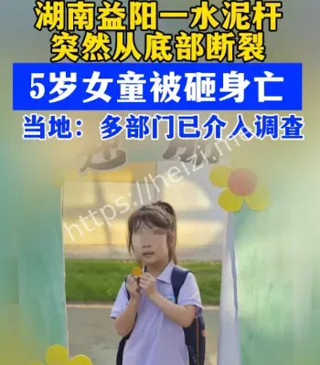 5岁女童电线杆砸中悲剧