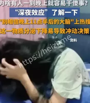 不要相信晚上的大脑