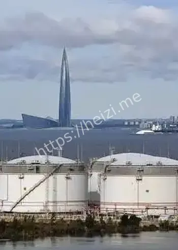 俄罗斯石脑油台湾进口数据