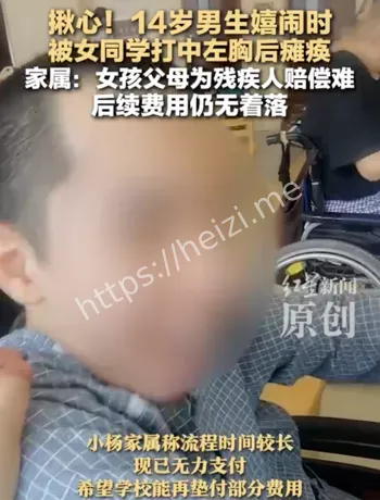 校园打闹致伤法律责任